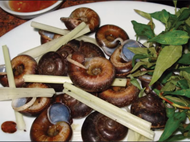 Ốc núi. Ốc núi Ninh Bình có vị ngọt tự nhiên, đậm đà. Nhờ “chất thịt” tuyệt ngon, ốc núi có thể chế biến thành nhiều món khác nhau như nướng, xào me, xào tỏi, luộc đều mang lại ấn tượng khó phai.