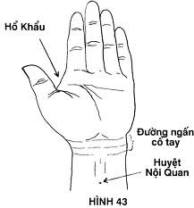 Bấm huyệt nội quan. Nhằm giảm bớt tình trạng say xe, bạn có thể dùng ngón tay cái ấn vào huyệt nội quan (huyệt nội quan nằm ở bên khớp cổ tay, trên vân ngang cổ tay, khoảng giữa ngón tay giữa và gân mu bàn tay) có tác dụng giảm cảm giác mệt mỏi, chóng mặt, buồn nôn.