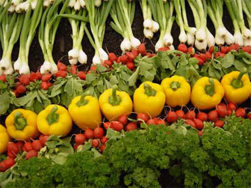 Tăng cường các loại rau, trái cây, ngũ cốc. Đặc biệt là ngũ cốc nguyên hạt.