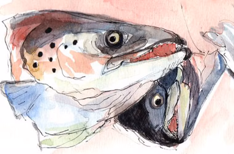 Đặc biệt, khi món ăn được chôn ở trong nhà, trong một thùng chứa hoặc chịu ánh nắng trực tiếp (những môi trường có nhiệt độ cao) thì khả năng tiết ra độc tố sẽ cao hơn nhiều.