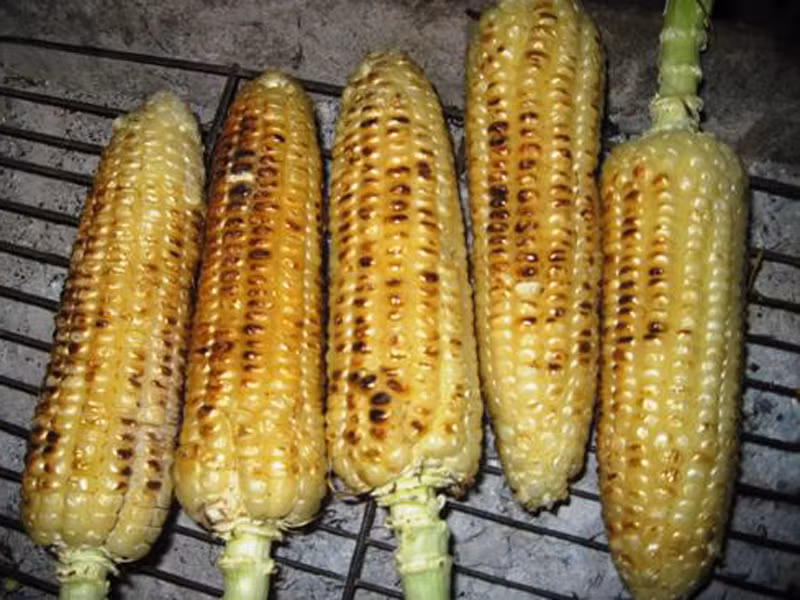 Ngoài ra, mùa thu cũng là thời điểm bạn có thể tự thưởng cho mình những bắp ngô nướng thơm lừng.