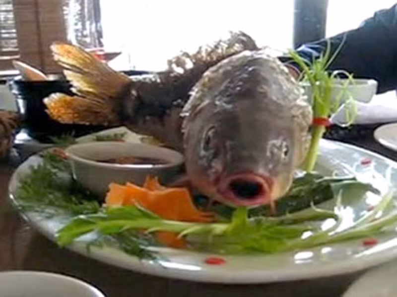 Đặc biệt, bạn cần thưởng thức khi đĩa thức ăn nghi ngút khói; ngay khi mới nhấc khỏi bếp.