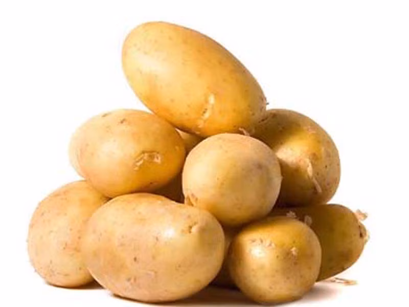 Thay vào đó, bạn nên dành thời gian tìm kiếm những củ cầm lên thấy nặng, chắc tay và lành lặn. Vỏ trơn nhẵn là những củ khoai tây còn tốt, ăn sẽ ngon. Ngoài ra, khoai tây có màu vàng sẽ ngọt và thơm hơn khoai tây hơi ngả màu trắng.