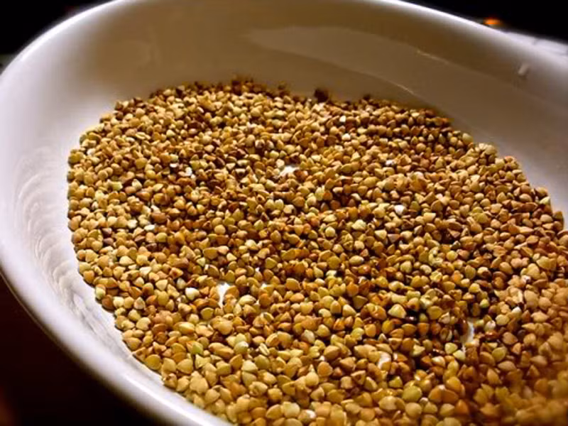 Nhằm vỗ béo nhanh, chim họa mi liên tục được nhồi nhét các loại thức ăn bổ dưỡng như hạt kê, nho khô và quả sung bất kể chúng có nhu cầu hay không.