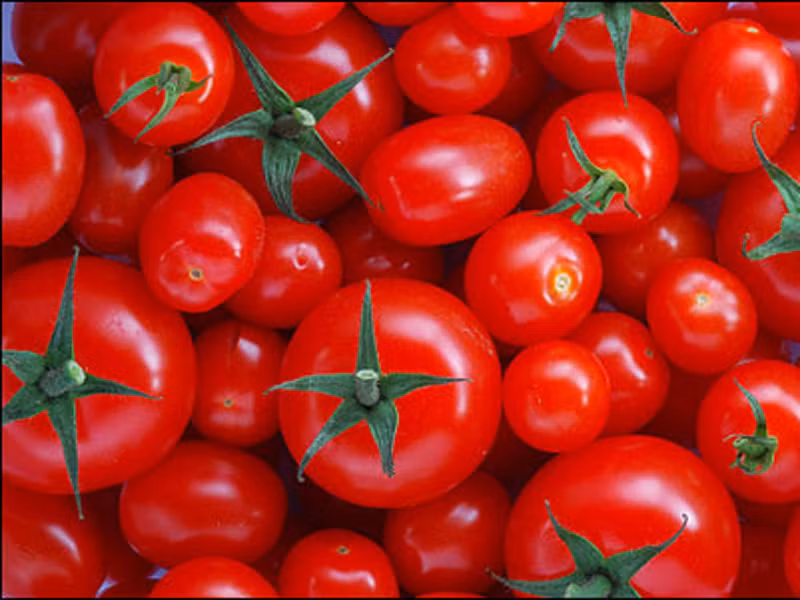 Lựa chọn những quả cà chua chín mọng, không bị dập nát rồi rửa sạch, để ráo. Dùng dao cứa nhẹ hình chữ thập ở mỗi quả.