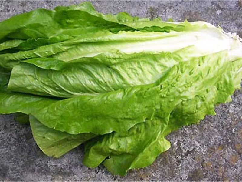 Trong khi đó, rau diếp, rau bina, cải bắp được đánh giá là loại rau xanh có tác dụng ngăn ngừa ung thư thanh quản mạnh mẽ nhất.