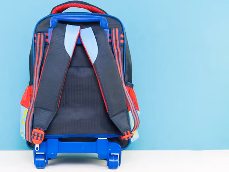 Nên chọn những chiếc túi mặt sau có đệm dày nhằm giảm trọng lượng mang vác. Lưu ý, các bà mẹ nên chọn chất liệu thoáng; tránh để bé cảm thấy nóng, bí bức.