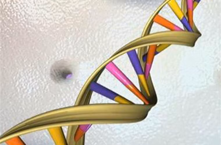 Yếu tố di truyền. Đây được xem là một trong những yếu tố hàng đầu gây ung thư tuyến tụy cũng như nhiều dạng ung thư khác. Cụ thể, các nhà khoa học cảnh báo những đối tượng sở hữu gen BRCA2, FAMMM, PalB2 hoặc Peutz – Jeghers có khả năng mắc bệnh cao hơn.