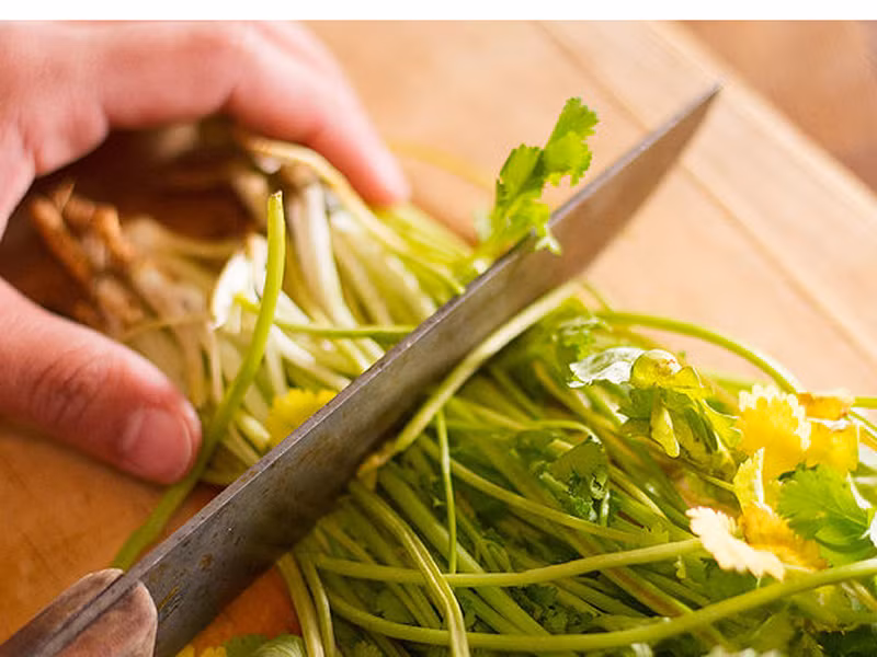 Cắt rễ. Dùng kéo để cắt bỏ phần gốc, lưu ý, khi cắt nên cắt ở chỗ mát mẻ như ở gần vòi nước. Bạn cũng thận trọng loại bỏ các phần lá bị hỏng để chúng không gây ảnh hưởng đến vùng lá xung quanh.