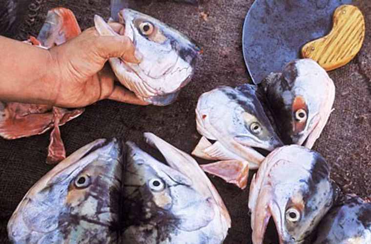 Để làm nên món ăn đặc trưng, người ta có thể sử dụng đầu cá hoặc toàn bộ thân con vật sau khi đã được sơ chế.