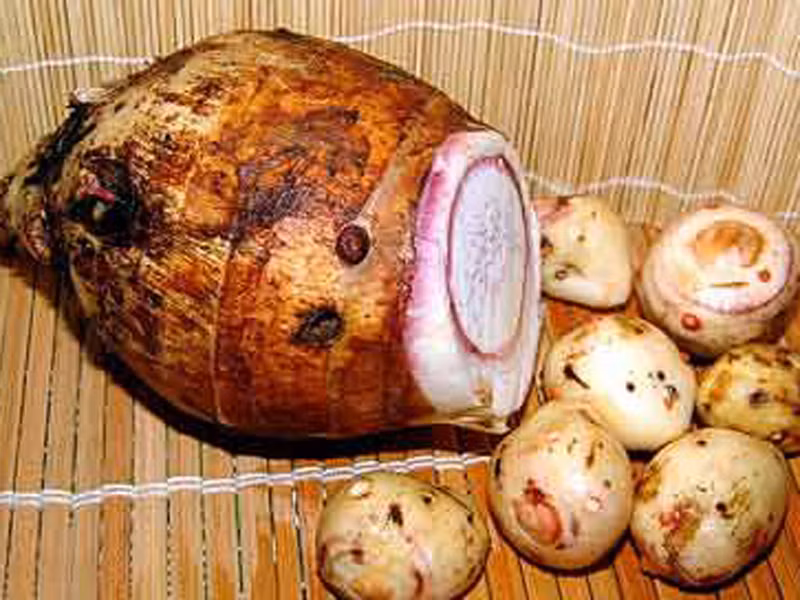 Khoai môn. Khoai môn thường có khoai cái và khoai con. Khi mua nên chọn khoai con vì nhiều bột và mềm hơn và không hay bị sượng như khoai cái. Cụ thể, nên chọn củ đủ lớn, còn mới, bên trong có màu trắng đục xen kẽ vân tím.