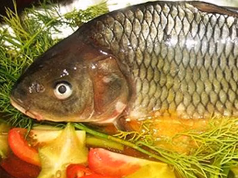 Tuy nhiên, kể từ năm 2008, món ăn này dần vắng bóng do bị chỉ trích về cách đối xử dã man với loài vật.