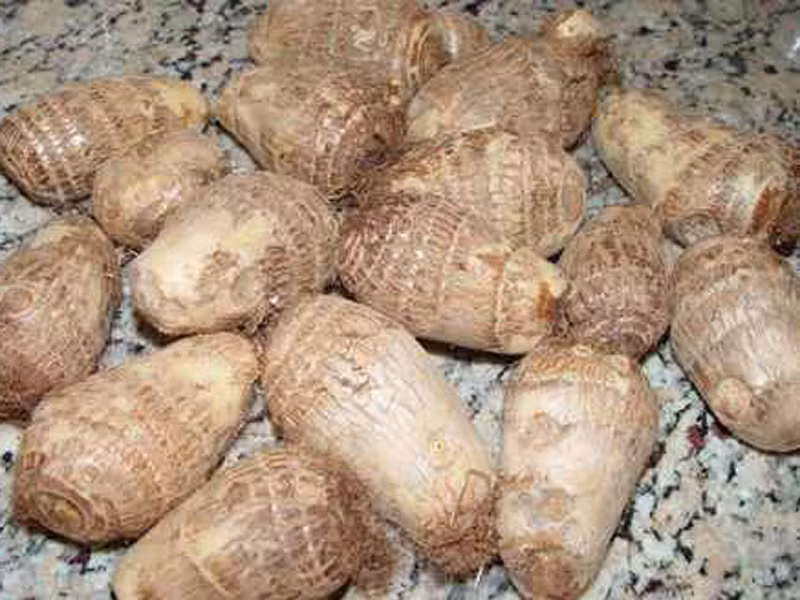 Khoai sọ. Khoai sọ ruột tím sẽ ngon hơn nhiều so với loại ruột màu trắng ngà. Lưu ý không chọn loại khoai sọ 1 củ (1 cây 1 củ). Nếu chọn được khoai mới dỡ, bạn nên chọn củ cái (củ tròn to có bám nhiều củ con xung quanh, củ con là củ nhỏ bẻ ra từ củ cái) cho chắc - bở và ngọt. Trường hợp khoai dỡ lâu ngày thì chị em nên chọn củ con cho dẻo vì lúc đó củ cái thường bị sượng.