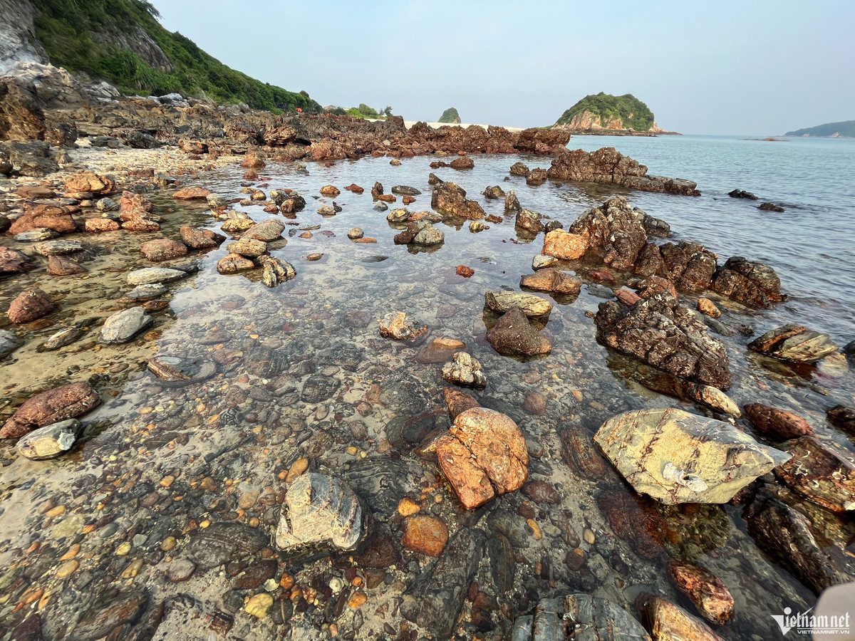 Điểm đặc biệt nhất ở hòn 7 sao mà ít hòn đảo nào ở miền Bắc có, chính là những con đường cát đi giữa biển. Khi thủy triều rút xuống, những con đường giữa biển này sẽ hiện ra, uốn lượn nối liền các đảo. Du khách có thể trải nghiệm cảm giác thong dong đi bộ trên cát mịn hoặc khi nước biển vẫn còn chưa rút hết để cảm nhận làn nước mát lạnh và ngắm nhìn những chú ốc biển mò mẫm kiếm ăn ngay dưới chân.