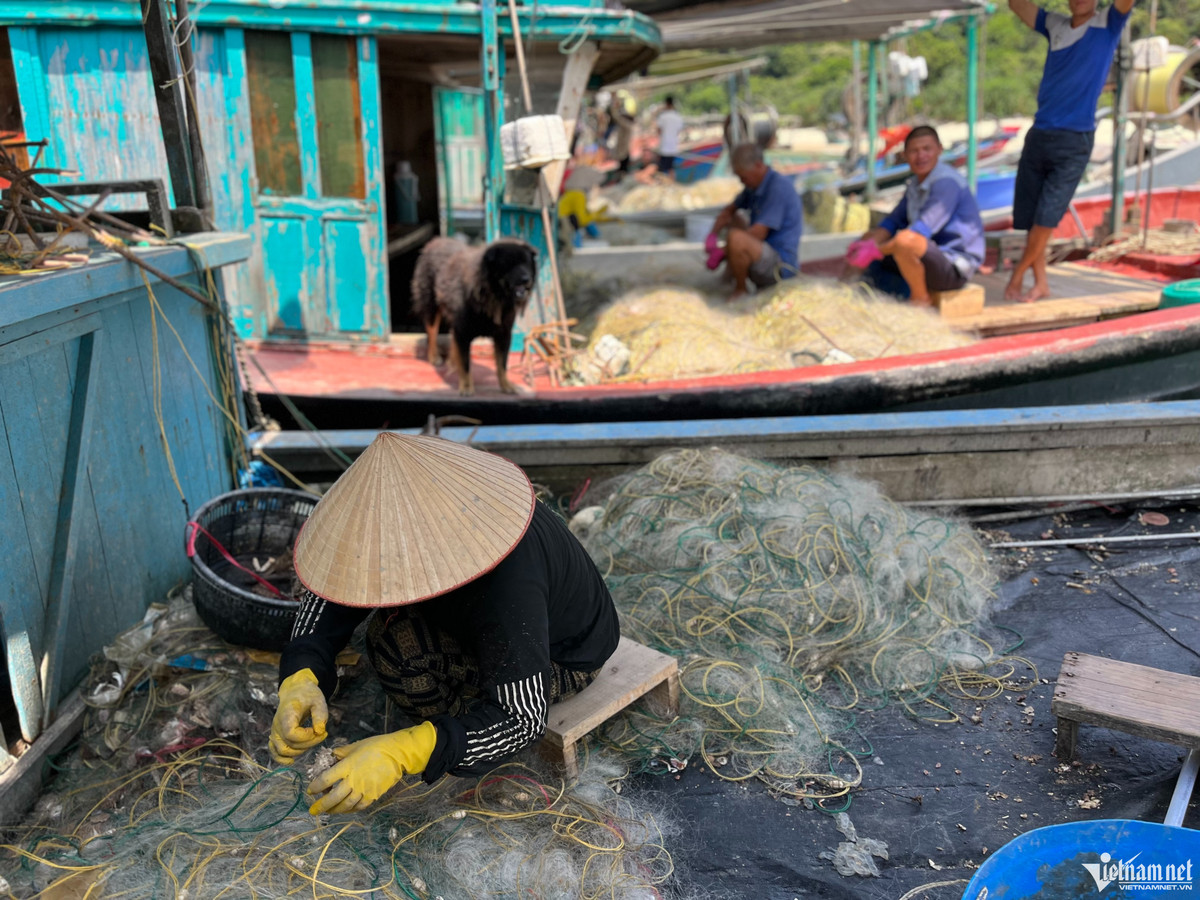 Đến đảo Thanh Lân, tổng chi phí bao gồm cả vé tàu cao tốc, ăn uống, ngủ nghỉ, trải nghiệm trên bè và các hoạt động khác như đi câu, đi bắt hải sản…là khoảng 4 triệu/người cho 3 ngày 2 đêm. Gần 5 triệu cho 4 ngày 3 đêm. Một lựa chọn khá ổn cho du khách nếu không muốn phải bay vào các tỉnh miền trong mà vẫn ngắm được biển xanh và trải nghiệm nhiều hoạt động.