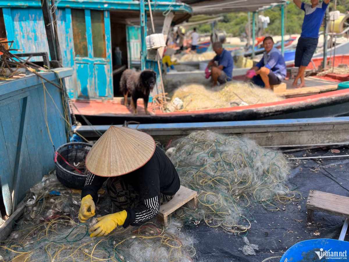 Đến đảo Thanh Lân, tổng chi phí bao gồm cả vé tàu cao tốc, ăn uống, ngủ nghỉ, trải nghiệm trên bè và các hoạt động khác như đi câu, đi bắt hải sản…là khoảng 4 triệu/người cho 3 ngày 2 đêm. Gần 5 triệu cho 4 ngày 3 đêm. Một lựa chọn khá ổn cho du khách nếu không muốn phải bay vào các tỉnh miền trong mà vẫn ngắm được biển xanh và trải nghiệm nhiều hoạt động.