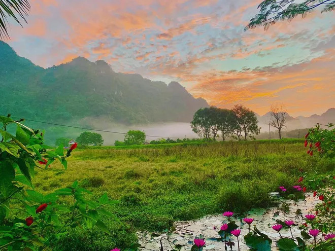 Nằm sâu trong rừng quốc gia Cát Bà, ngôi làng chài gần như tách biệt hoàn toàn khỏi những ồn ào, náo nhiệt của thế giới với vẻ đep hoang sơ, yên bình, giản dị. Ảnh: @sow_sow_fifty.one
