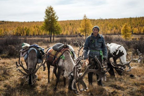 Truyền thống cổ xưa của người Dukha đang đối mặt với nhiều thách thức từ sự phát triển xã hội, chính sách địa phương, hoạt động du lịch… Nỗi sợ đánh mất bản sắc là có thật. Nhiều chuyên gia, nhà khoa học đã và đang lên tiếng về nguy cơ lụi tàn của văn hóa truyền thống Dukha. Họ gọi đó là một nền văn hóa “đang hấp hối”.