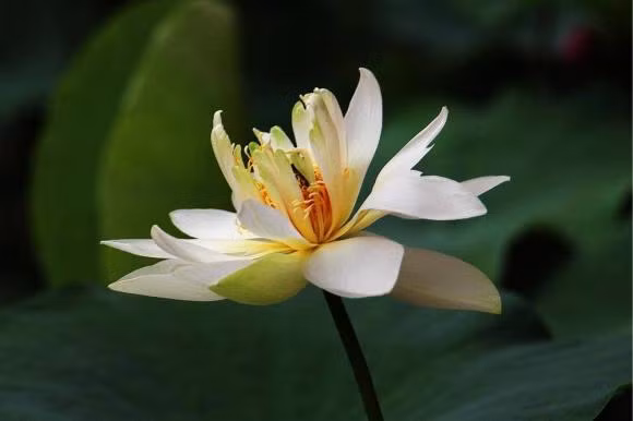 Nhung nguoi co ngay sinh trung voi ngay cuoi cung nay deu phu quy-Hinh-2