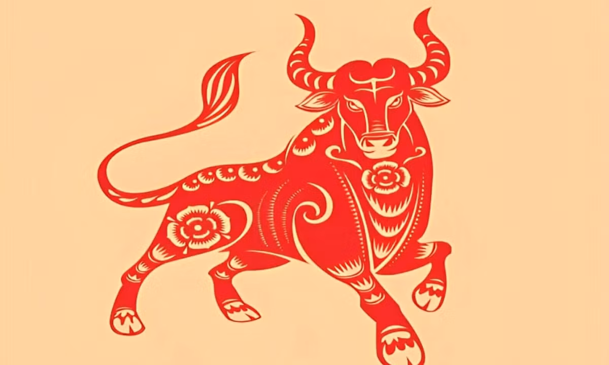  Theo các chuyên gia phong thủy, đây sẽ là một năm đặc biệt thuận lợi đối với con giáp này, đặc biệt là những người làm việc trong lĩnh vực sáng tạo hoặc tâm linh. 