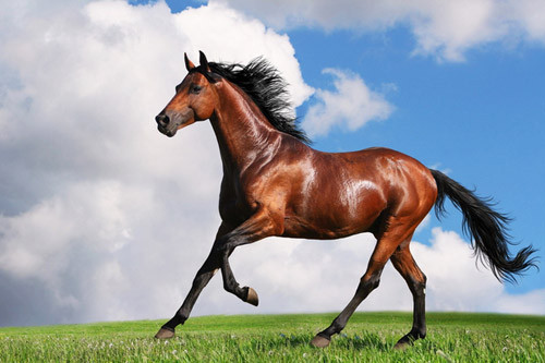  Trong khi các cơ hội có thể xuất hiện, những thách thức kinh doanh có thể xuất hiện và việc tìm kiếm lời khuyên của chuyên gia cùng với việc dựa vào sự hỗ trợ của gia đình sẽ rất quan trọng để vượt qua những trở ngại. 