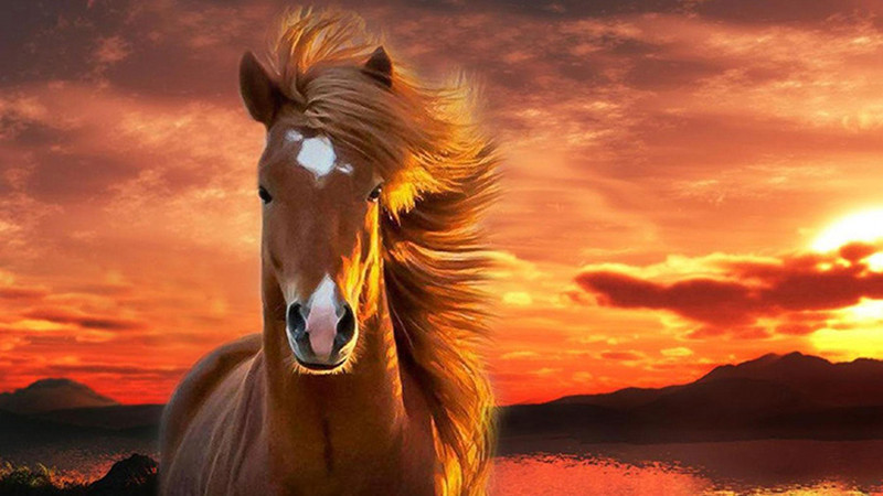 Tuy nhiên, bên cạnh những vận may về tài lộc, người tuổi Ngọ cũng cần chú ý đến sức khỏe của mình. Đừng quá mải mê với công việc mà quên đi việc chăm sóc bản thân. Hãy dành thời gian nghỉ ngơi, thư giãn và ăn uống đầy đủ để duy trì một sức khỏe tốt. Ngoài ra, hãy giữ tinh thần lạc quan, vui vẻ và tránh những suy nghĩ tiêu cực. 