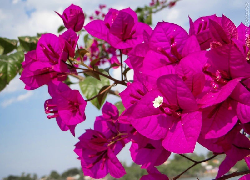 Người sinh vào 3 tháng Âm lịch này, năm 2025 sung túc Nguoi sinh vao 3 thang Am lich nay, nam 2025 sung tuc