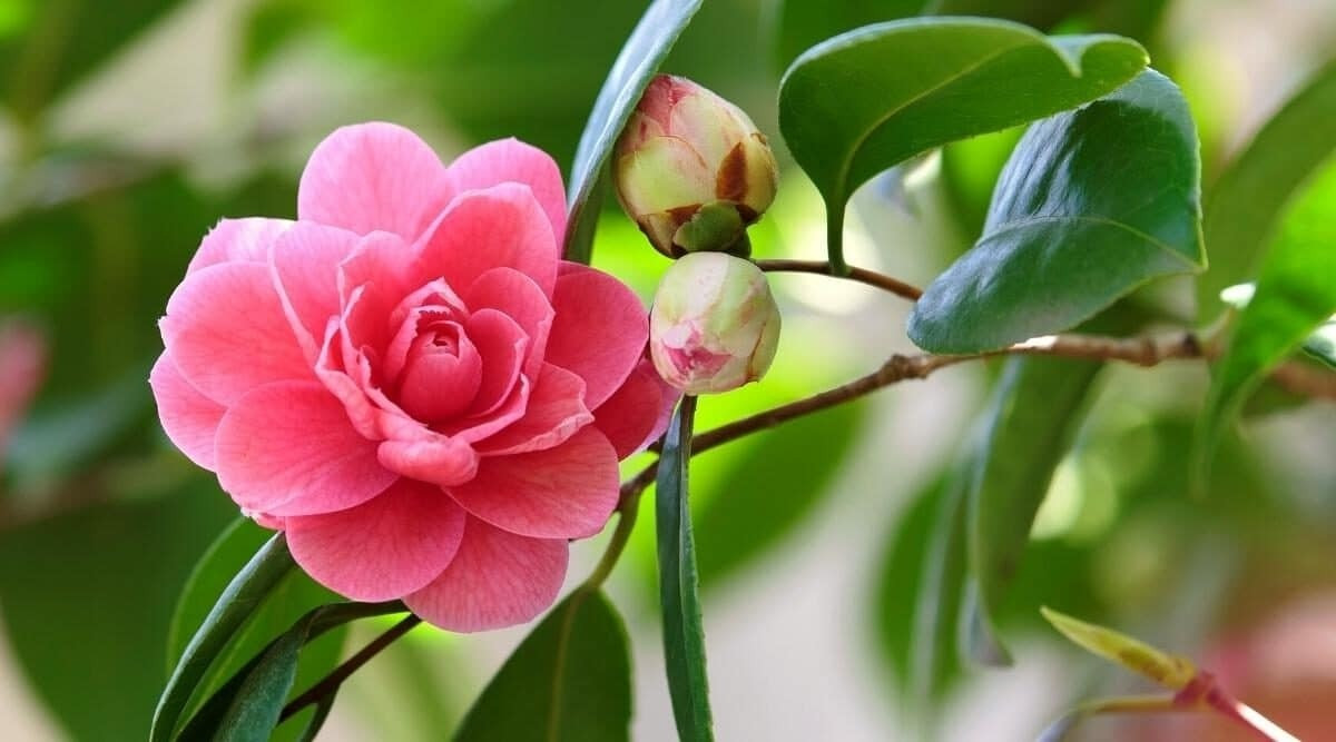 Người sinh vào 3 tháng Âm lịch này, năm 2025 sung túc - Hình 3 Nguoi sinh vao 3 thang Am lich nay, nam 2025 sung tuc-Hinh-3