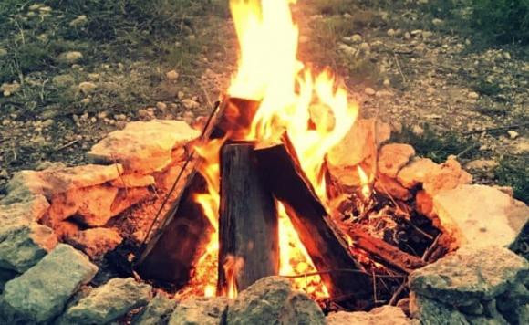 br/> Thế nhưng thật đáng tiếc, trong một thời gian dài, giá trị của hoàng hoa lê Hải Nam đã bị lãng quên. Vào năm 1970, giá của loại gỗ này chỉ khoảng 1-2 xu/kg.