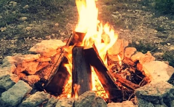 br/> Thế nhưng thật đáng tiếc, trong một thời gian dài, giá trị của hoàng hoa lê Hải Nam đã bị lãng quên. Vào năm 1970, giá của loại gỗ này chỉ khoảng 1-2 xu/kg.