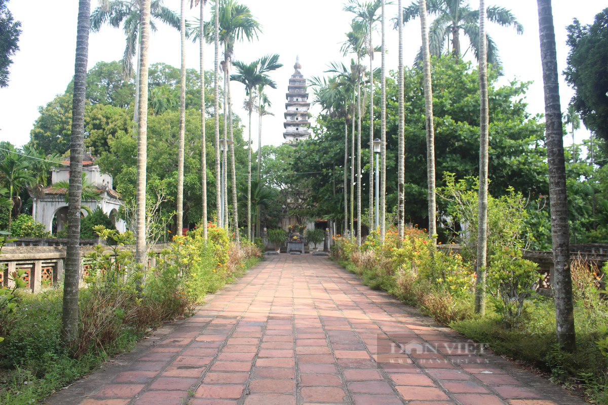 Hiện nay, chùa Phổ Minh là 1 địa điểm du lịch tâm linh hấp dẫn, thu hút đông đảo du khách trong và ngoài nước đến thăm quan, chiêm bái. Ảnh: Dân Việt