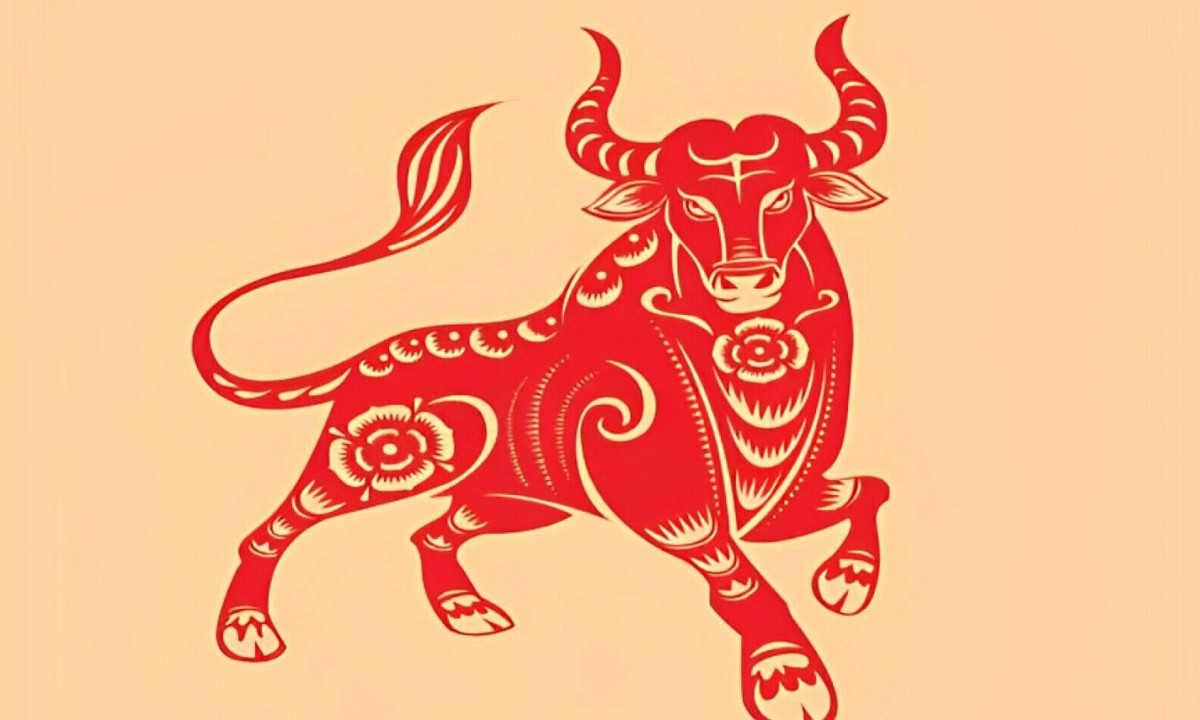  Ngoài ra, họ có thể nhận thêm tiền thưởng hoặc trợ cấp nếu có thành tích xuất sắc trong công việc, giúp tăng thêm thu nhập.