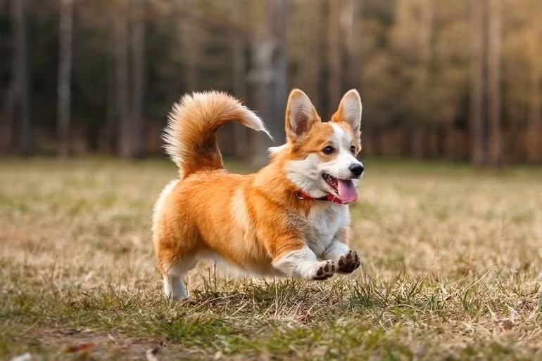  Tài vận ổn định, không có nhiều biến động. Hãy giữ thái độ hòa nhã và sẵn sàng giúp đỡ người khác. 