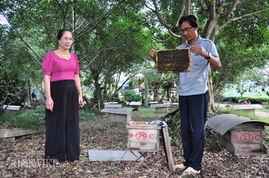 Ky cong nuoi, luyen ong tien ty-Hinh-3