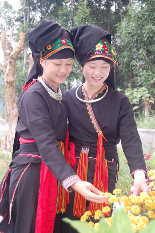 Một bộ trang phục hoàn chỉnh của người Dao gồm: áo, yếm, xà cạp, cùng đồ trang sức vàng bạc, khăn vấn đầu... Trong bộ y phục của phụ nữ quan trọng nhất là chiếc áo được thiết kế dài đến gần đầu gối. Cổ áo được thiết kế theo hình chữ V có thêu hoa văn. Áo người Dao có hai tà và phần cầu kỳ nhất để làm nên sự độc đáo của chiếc áo là những nét hoa văn được thêu ở phần đuôi áo.