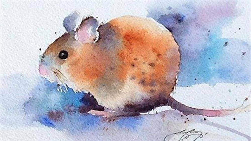 Bởi thế mà những ngày cuối cùng của tháng 2 Âm lịch, Tý giải quyết được hoàn toàn các "bài toán khó", gặt hái thành quả xứng đáng. 