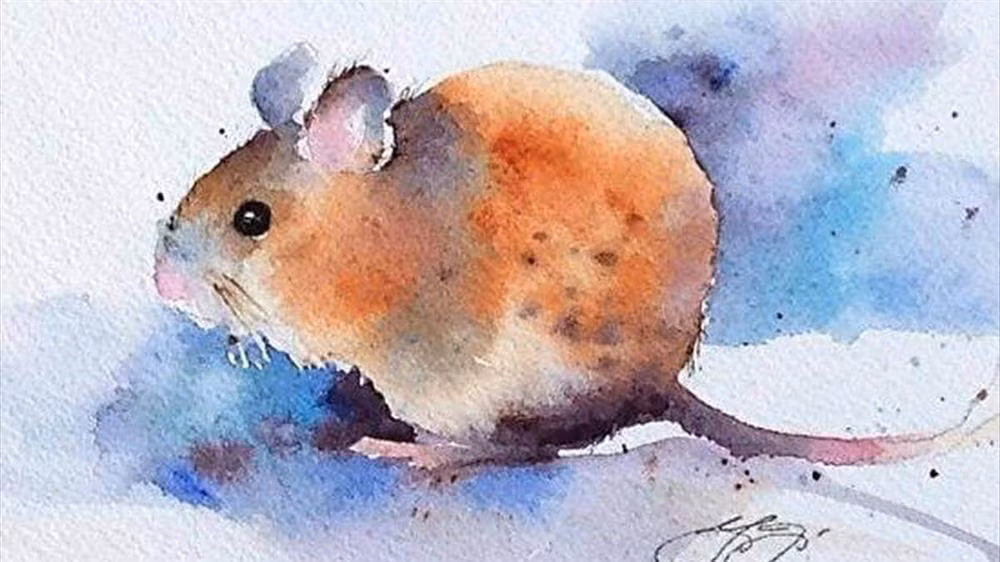 Bởi thế mà những ngày cuối cùng của tháng 2 Âm lịch, Tý giải quyết được hoàn toàn các "bài toán khó", gặt hái thành quả xứng đáng. 