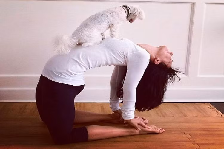 Độ dẻo của cơ thể được người phụ nữ này khai thác tối đa