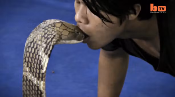 Màn hôn rắn rùng rợn của chàng trai trẻ. Ảnh cắt từ clip.