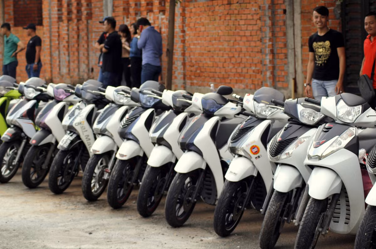 Biệt đội Công tử Bạch Lang. Biệt đội Công tử Bạch Lang.