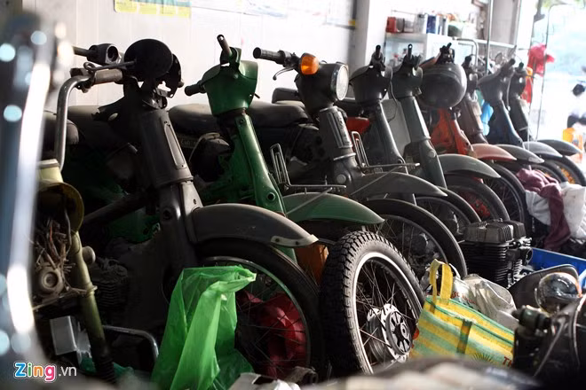 Trong dàn xe, số lượng Honda Cub đông đảo hơn cả khi quy tụ gần như có tất cả các đời, từ mẫu xe cho nữ Dame 1965 đến mẫu Cub 82 2008.