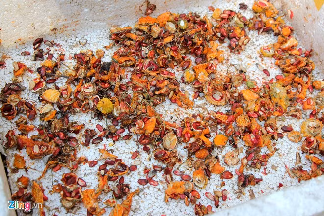 Khổ qua rừng già được phơi khô làm thuốc có giá 100.000 đồng/kg.