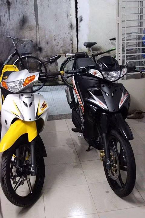 Cặp đôi hoàn hảo.