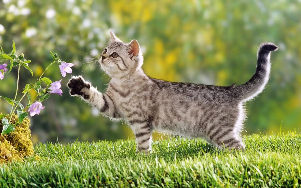 Tuy nhiên, việc này cũng cần con giáp này phối hợp với đối phương. Đừng quá quan trọng về tuổi tác, cũng chẳng cần xem xét nhiều đến những quy tắc nọ kia, chỉ cần hai người thấy tâm đầu ý hợp là được.