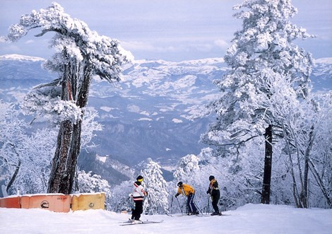 Kham pha diem du lich bang tuyet cuc phu hop nguoi Viet-Hinh-3