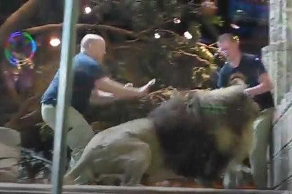 Nhan vien so thu o My duoc su tu cai cuu mang-Hinh-2