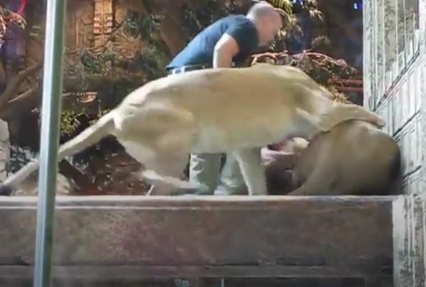 Nhan vien so thu o My duoc su tu cai cuu mang-Hinh-3