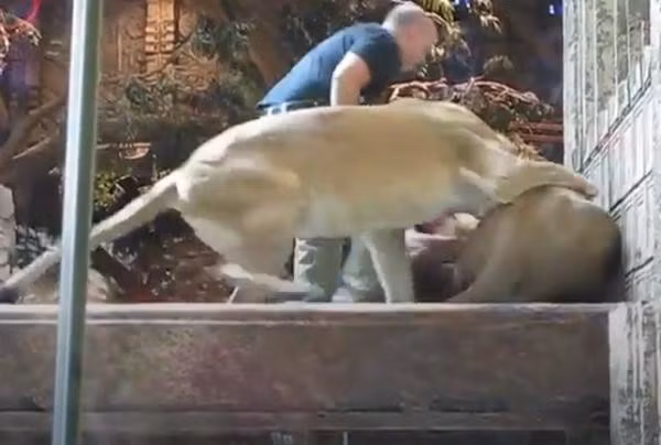 Nhan vien so thu o My duoc su tu cai cuu mang-Hinh-3