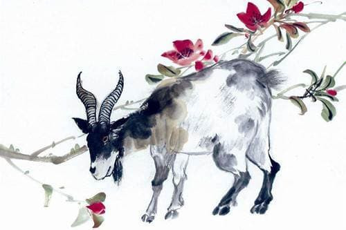 Nguoi cam tinh con Rong, Ngua, De, Ran quy nhan phu tro se rat vuong-Hinh-4