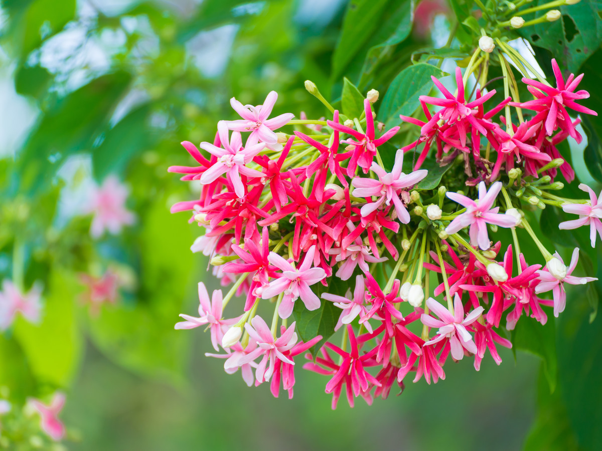 10 ngày cuối tháng 5, 3 con giáp đón lộc vào nhà, tài khoản tăng ầm ầm - Hình 2 10 ngay cuoi thang 5, 3 con giap don loc vao nha, tai khoan tang am am-Hinh-2